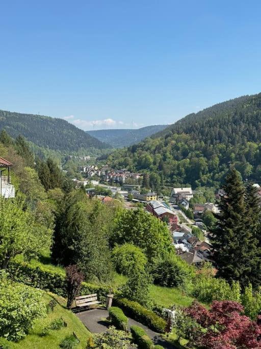 Apartmán Bollenhut 1 Bad Wildbad Exteriér fotografie