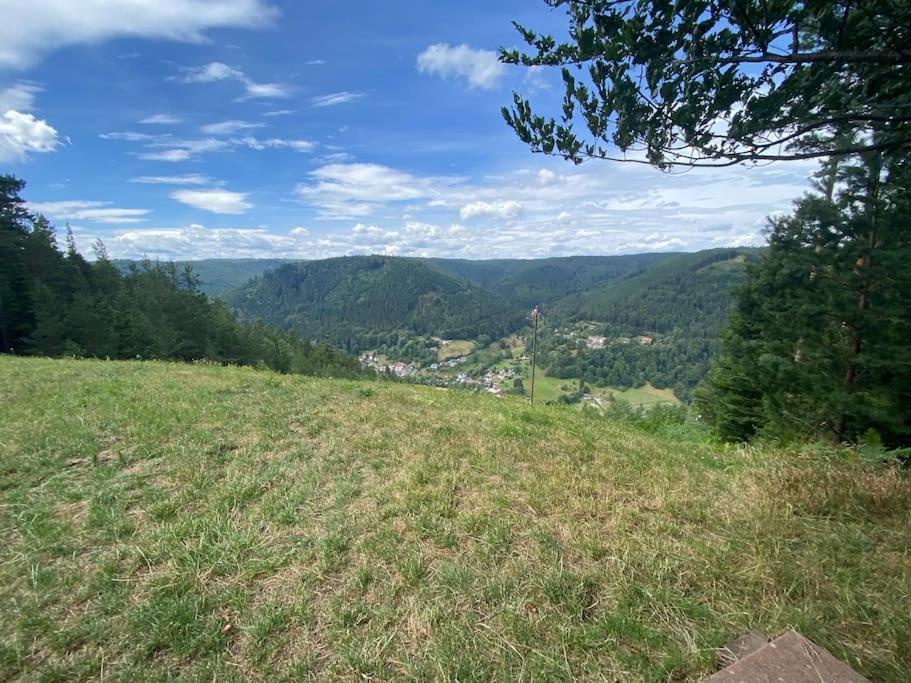 Apartmán Bollenhut 1 Bad Wildbad Exteriér fotografie