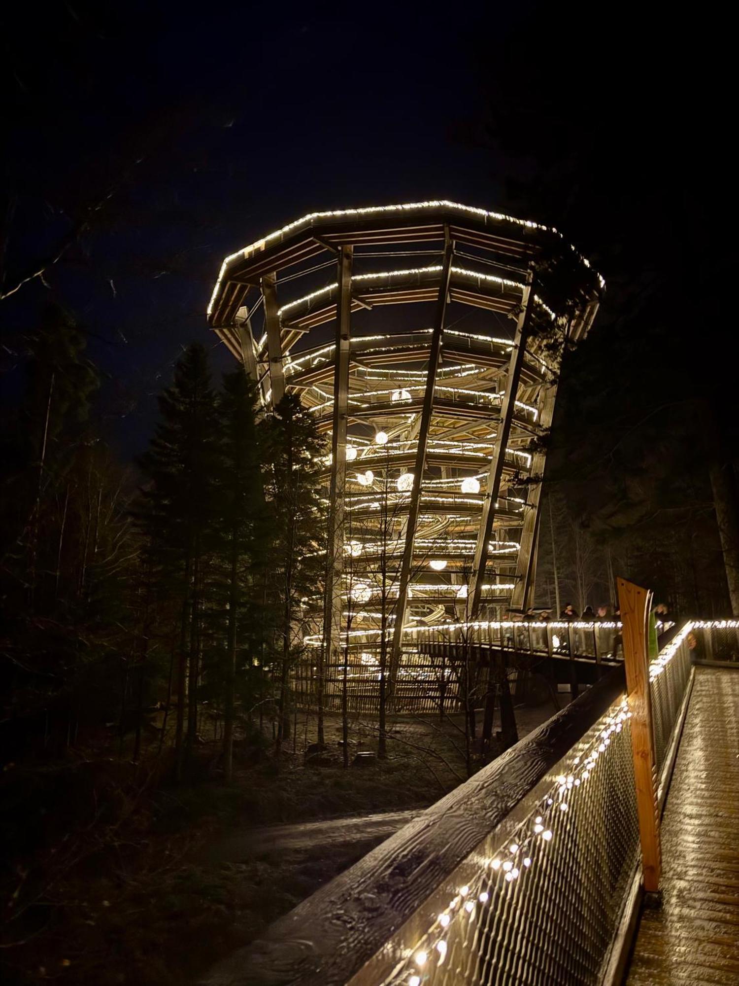 Apartmán Bollenhut 1 Bad Wildbad Exteriér fotografie
